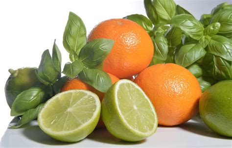 Lime and Basil .